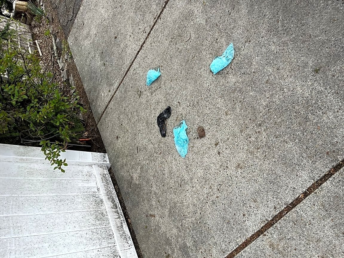 Image submitted with report