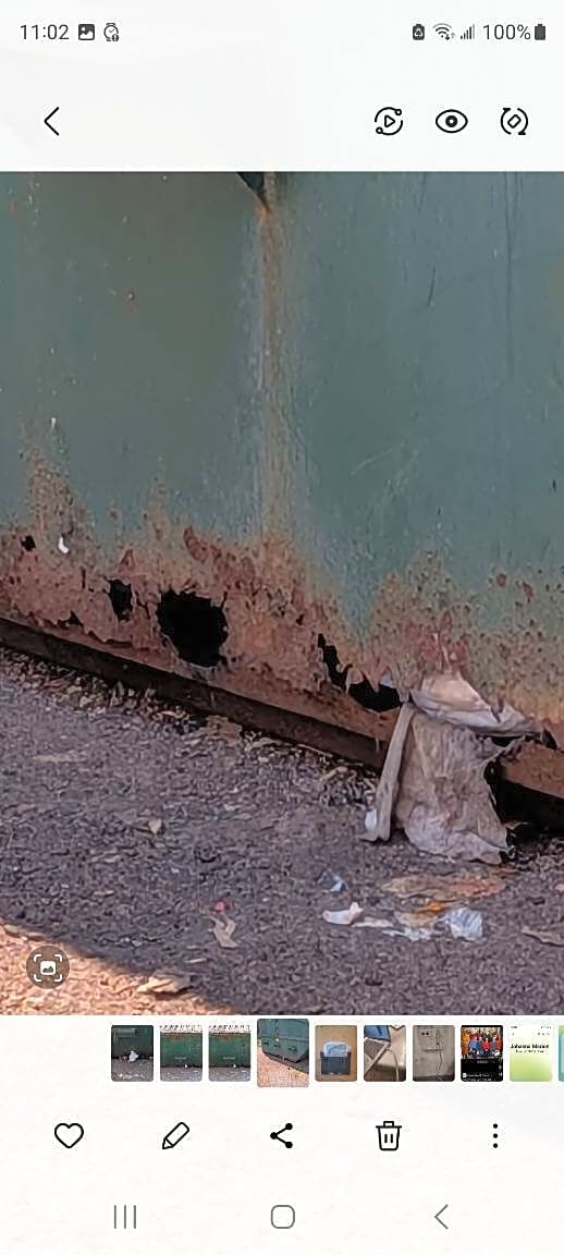 Image submitted with report