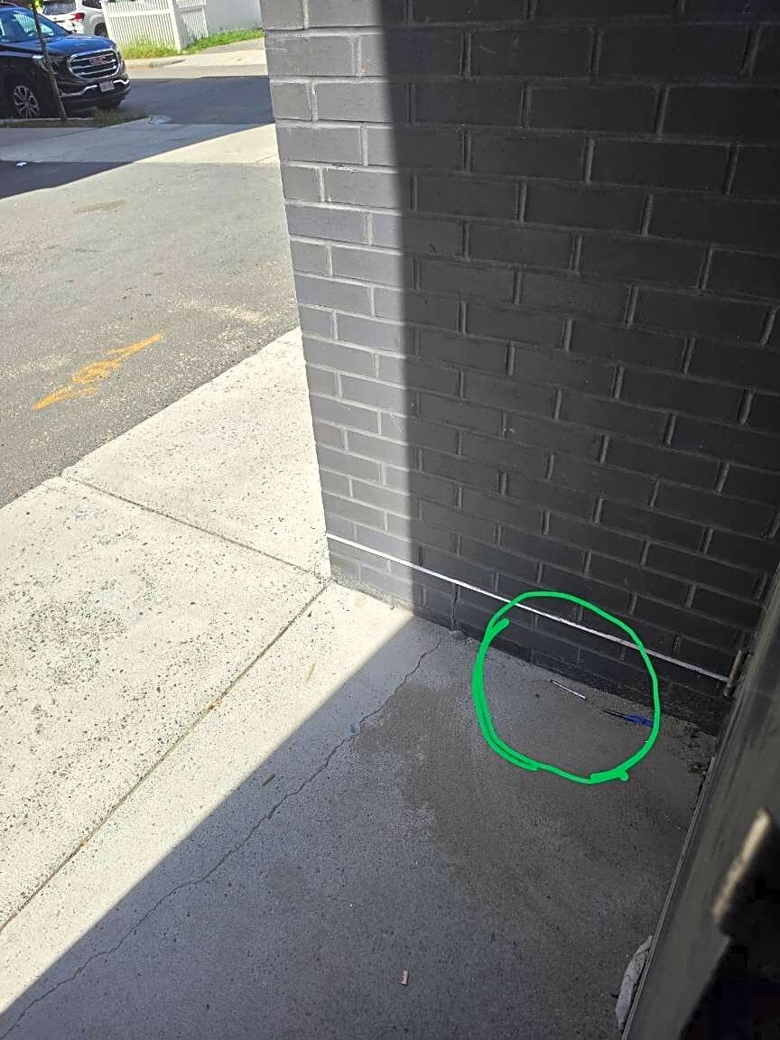 Image submitted with report