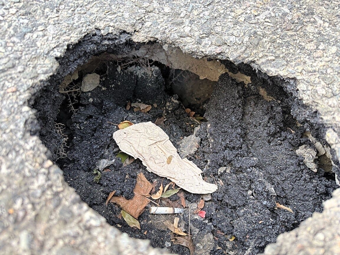 Image submitted with report