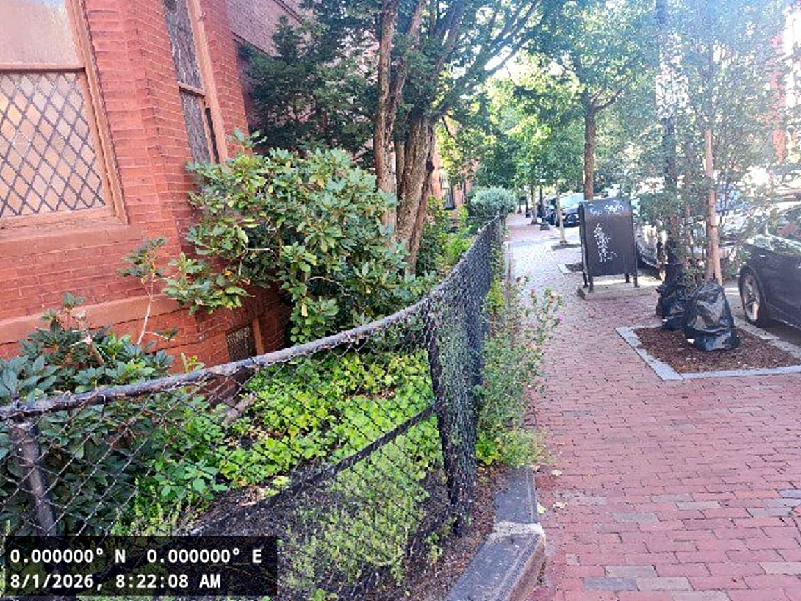 Image submitted with report