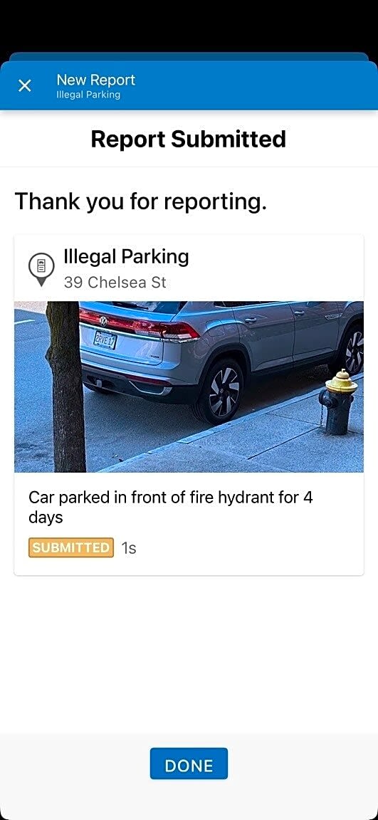 Image submitted with report