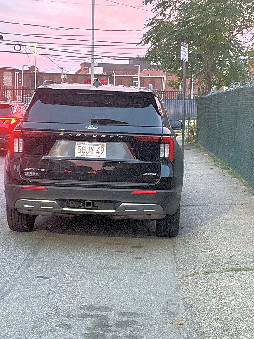 Image submitted with report