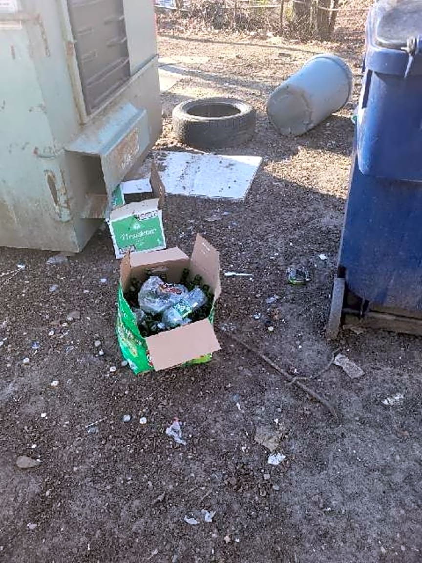 Image submitted with report