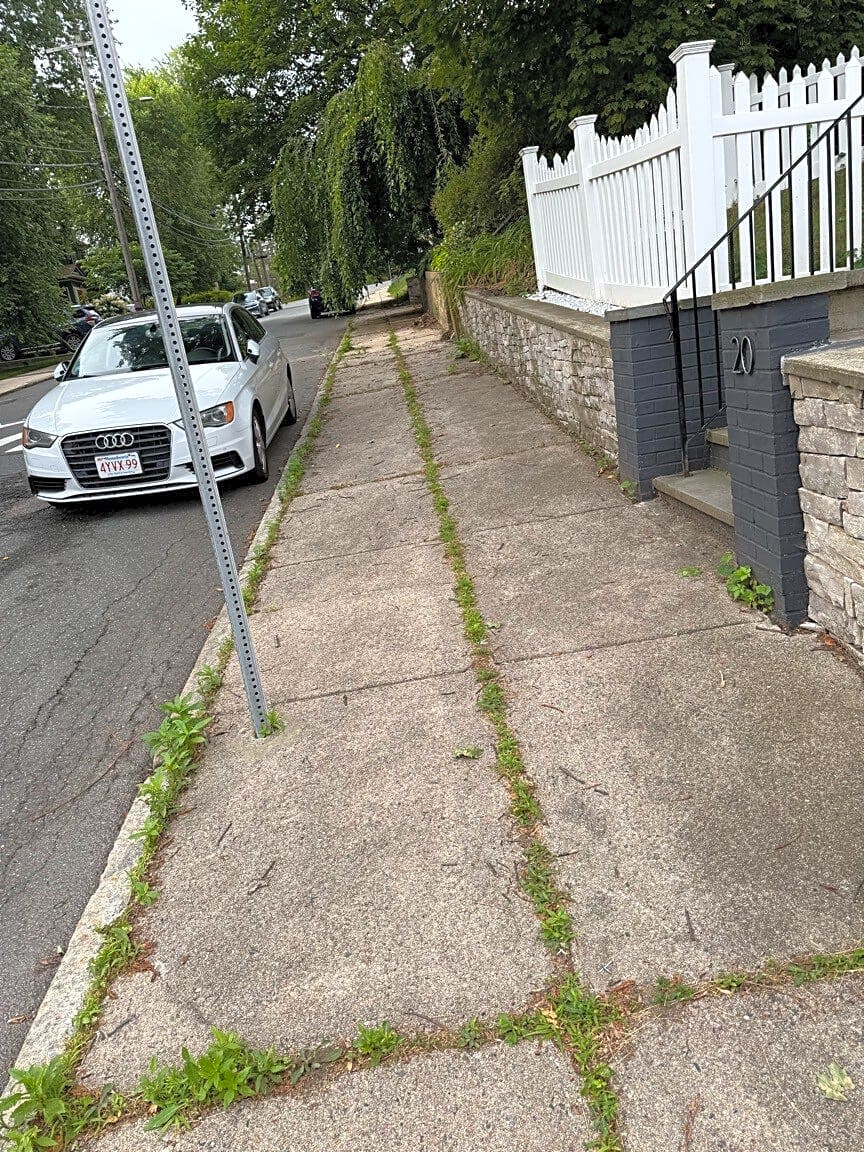 Image submitted with report