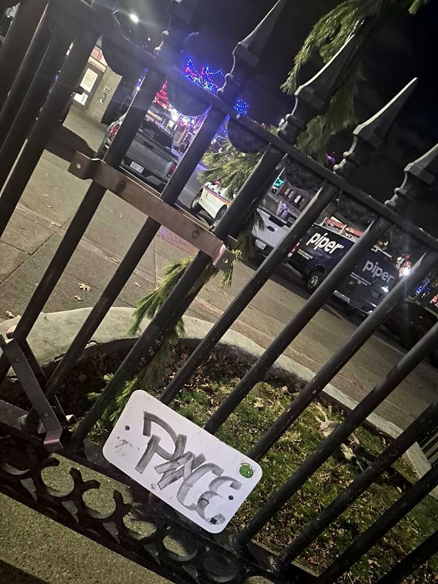 Image submitted with report