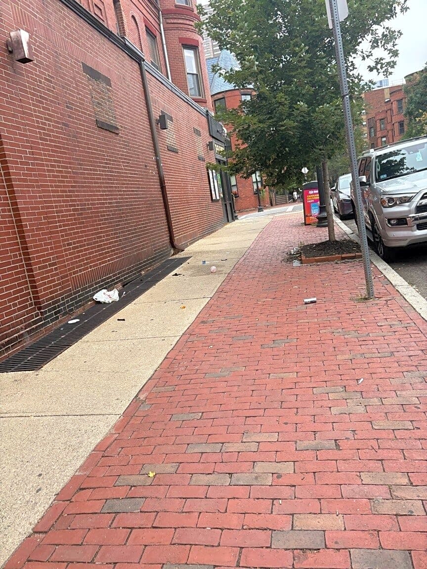 Image submitted with report
