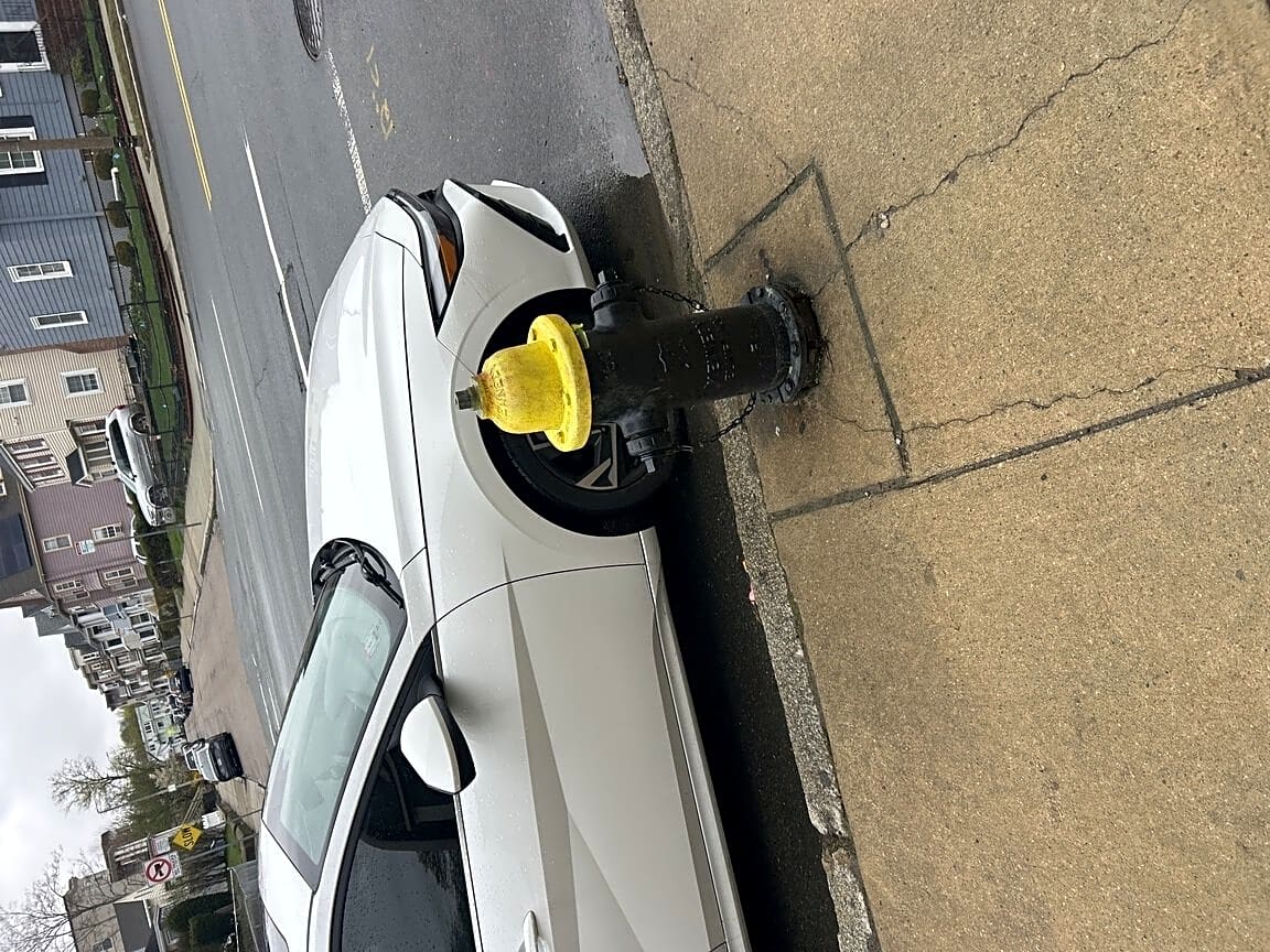 Image submitted with report