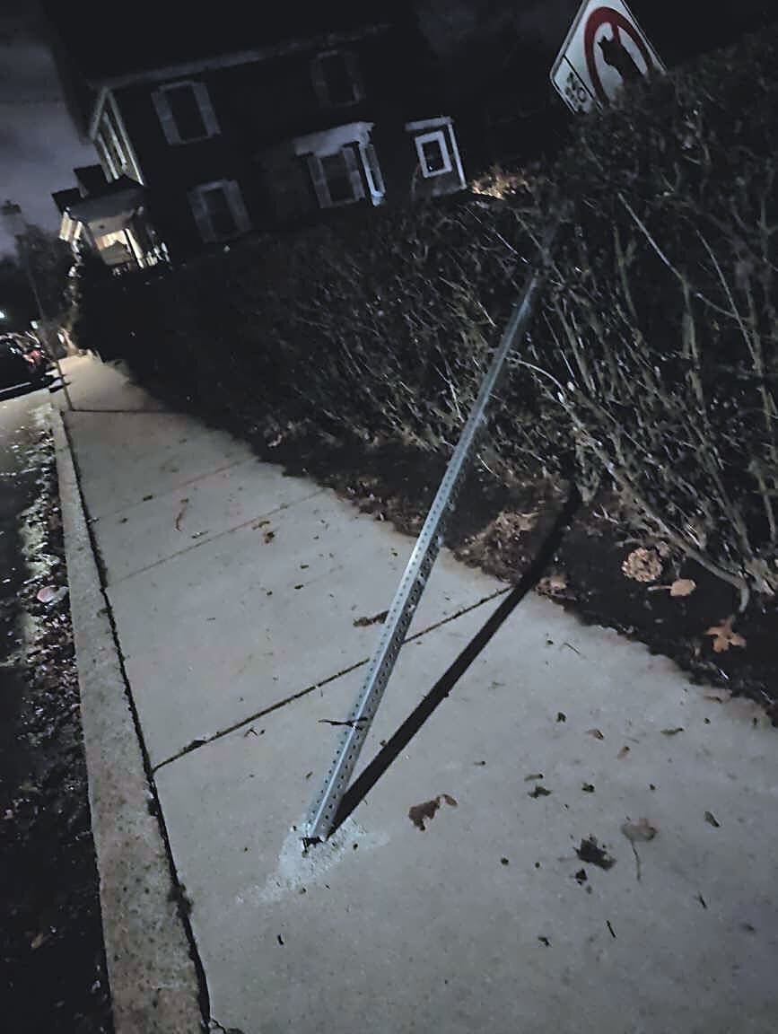 Image submitted with report