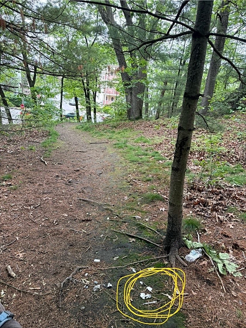 Image submitted with report