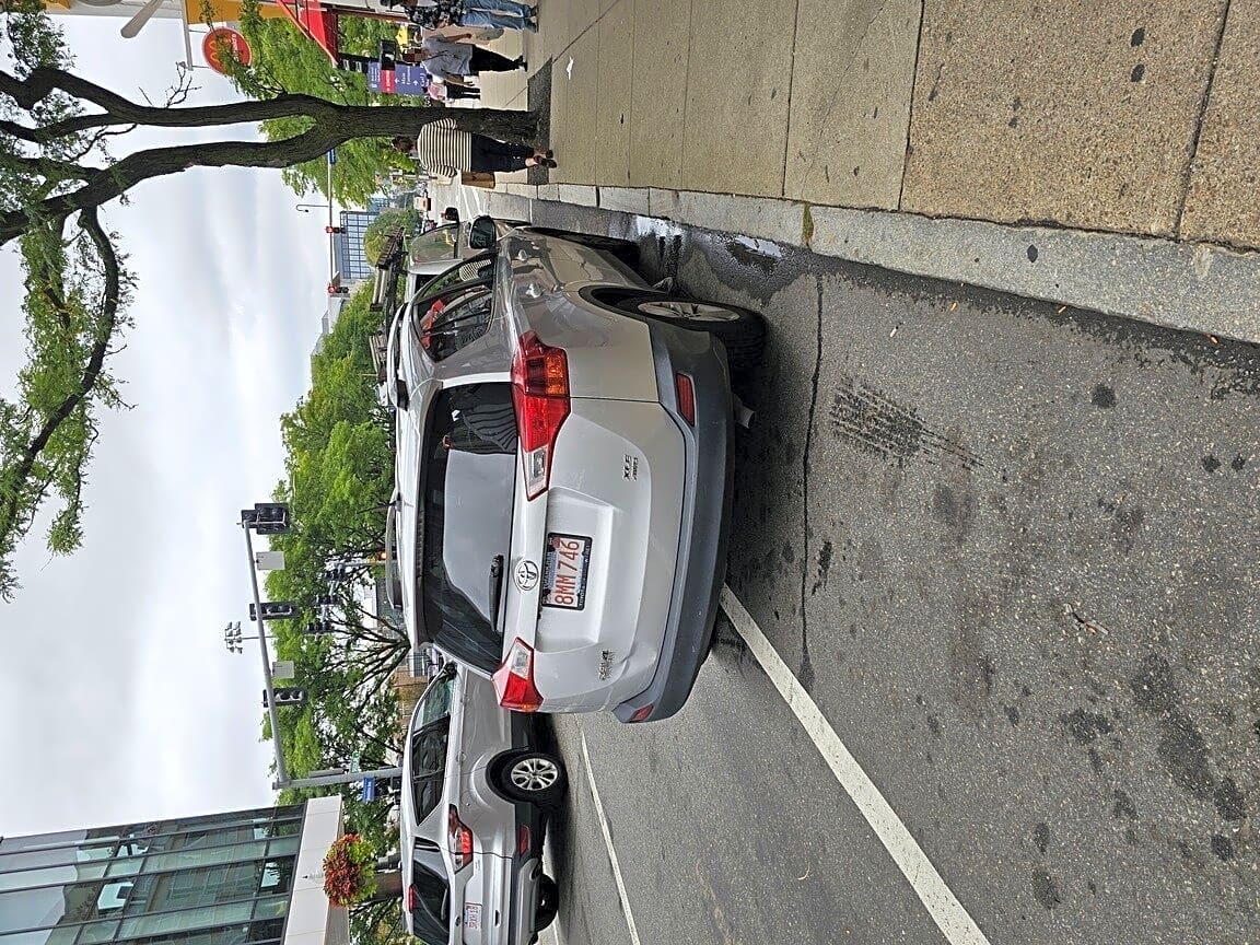 Image submitted with report