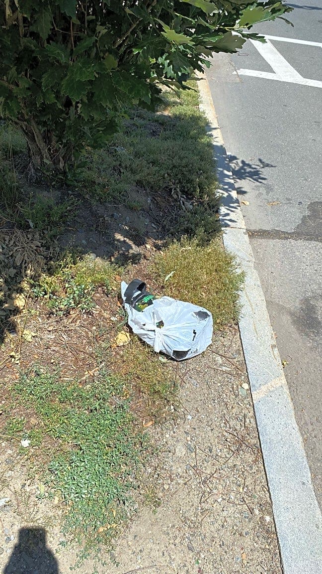 Image submitted with report