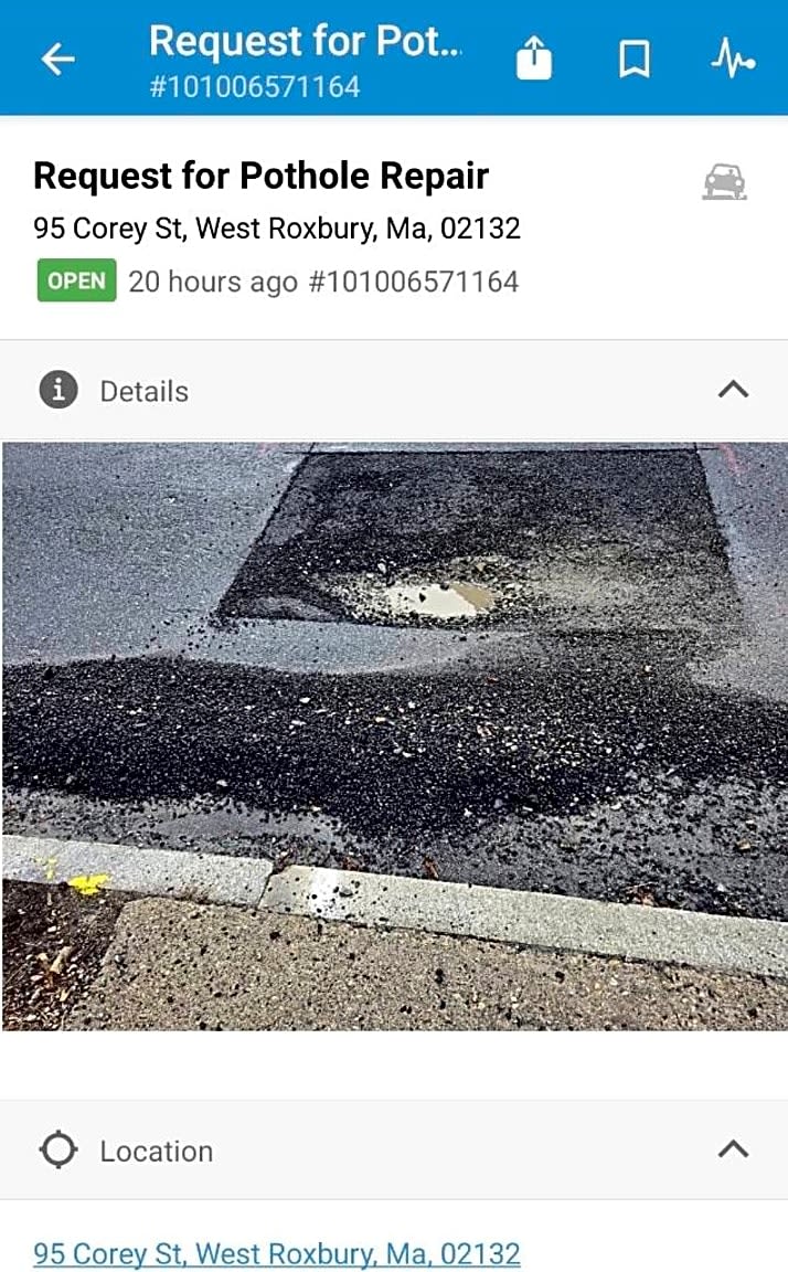 Image submitted with report