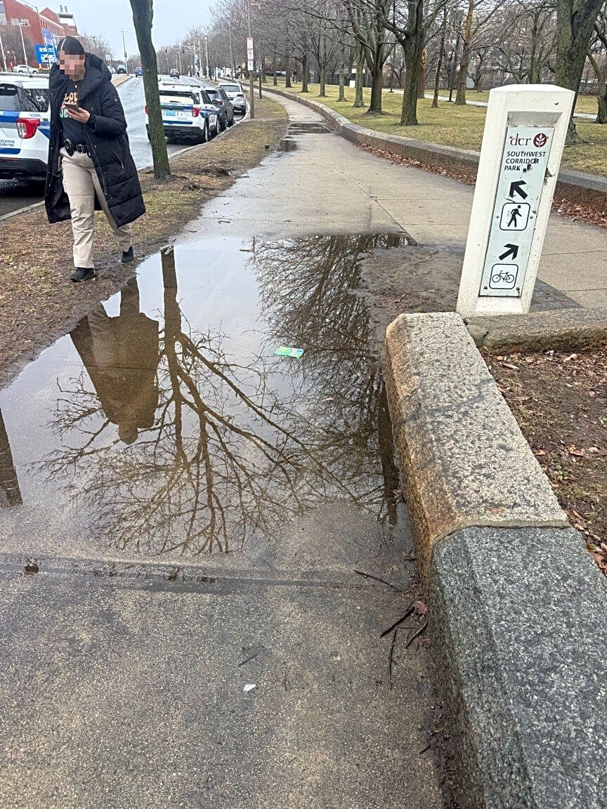 Image submitted with report