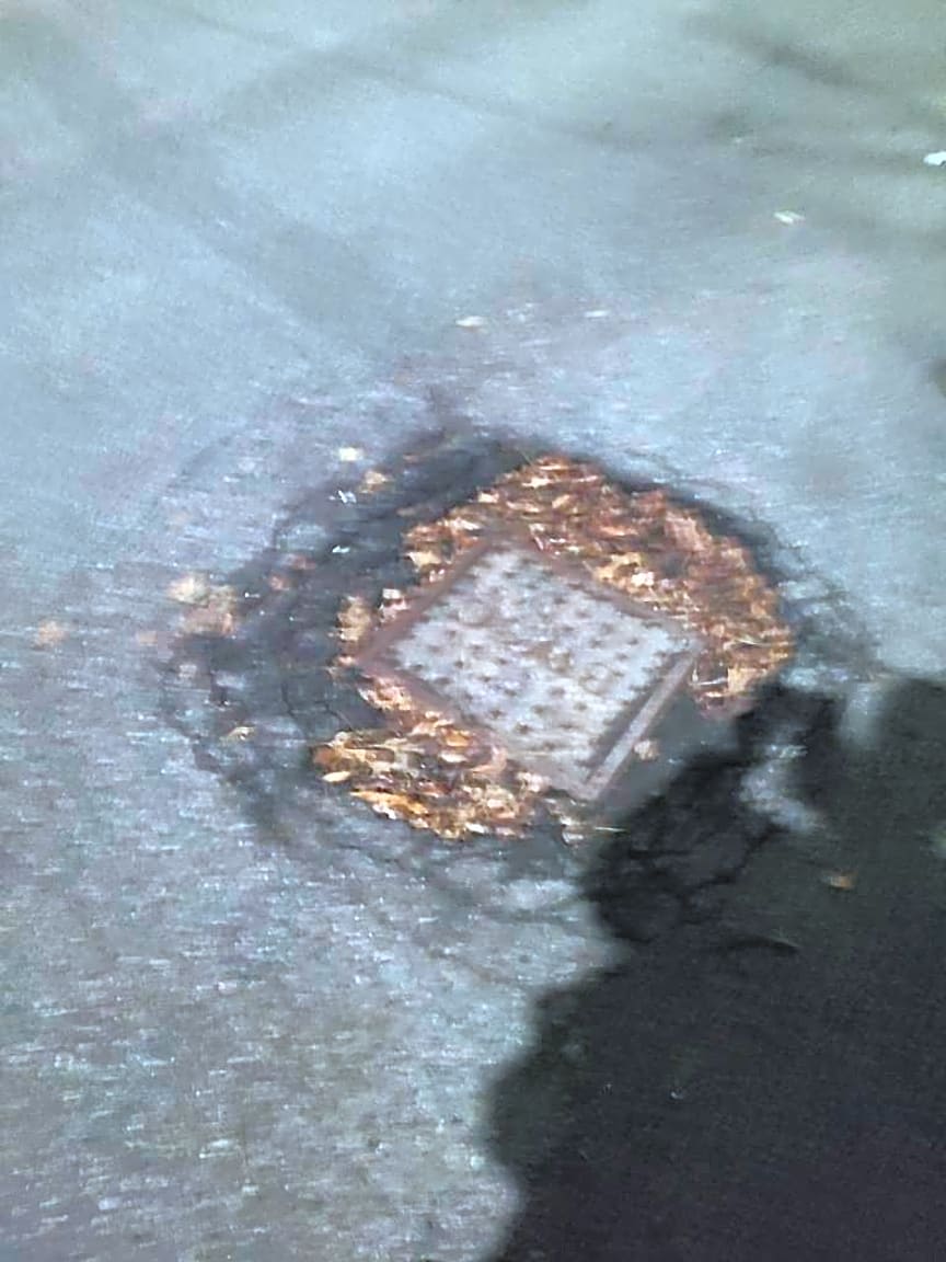 Image submitted with report