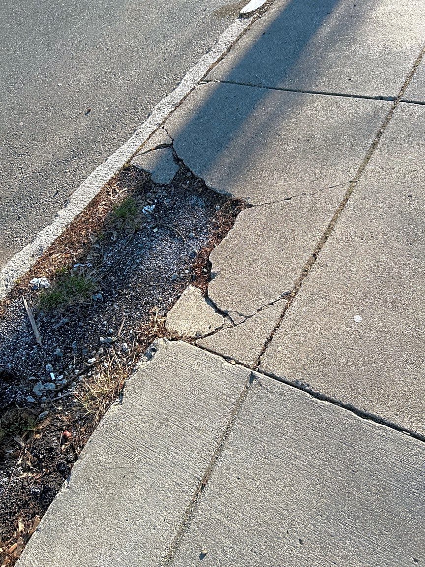 Image submitted with report