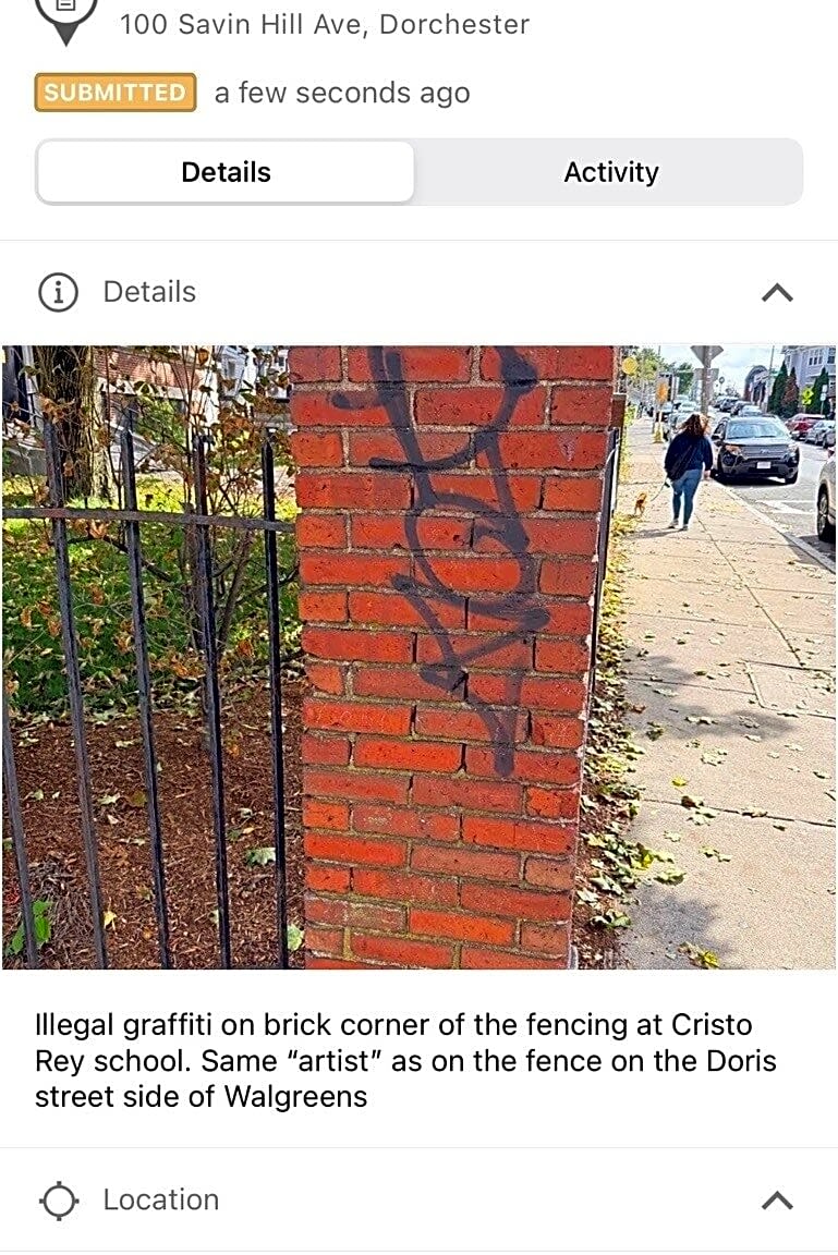 Image submitted with report