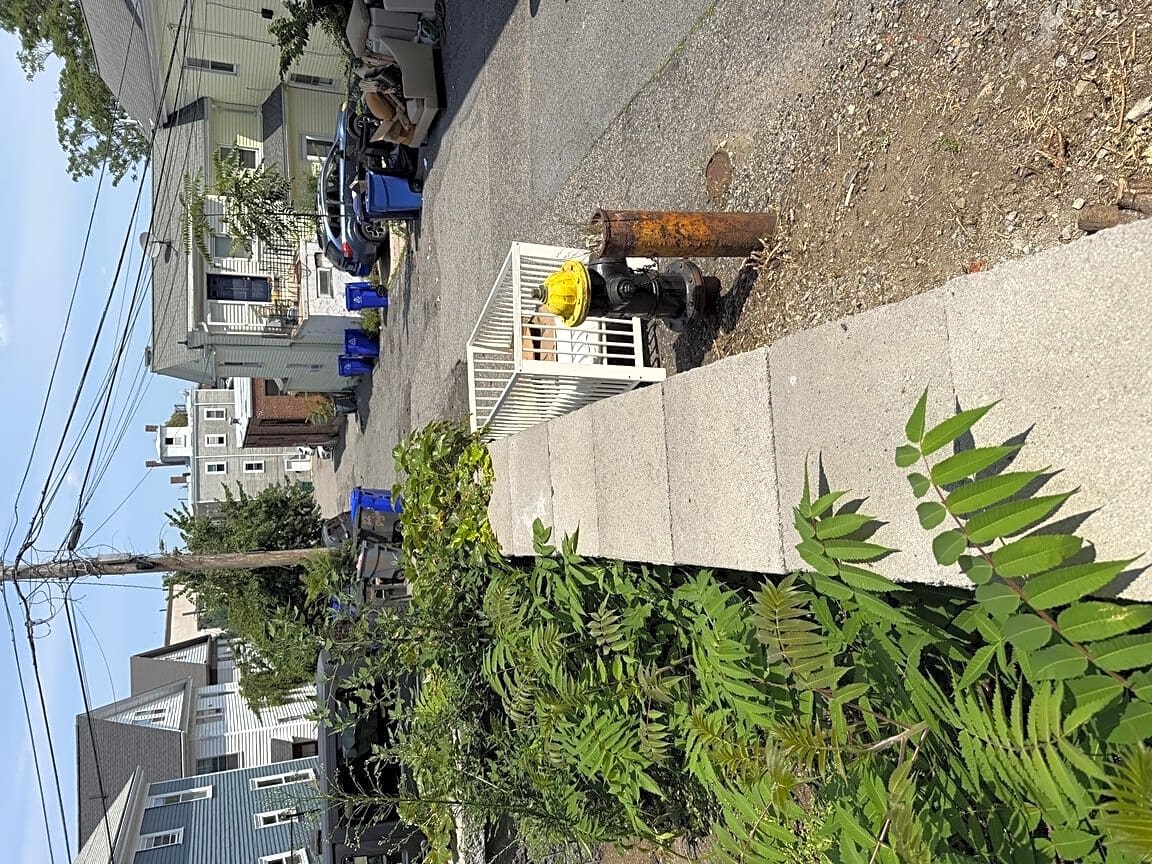 Image submitted with report