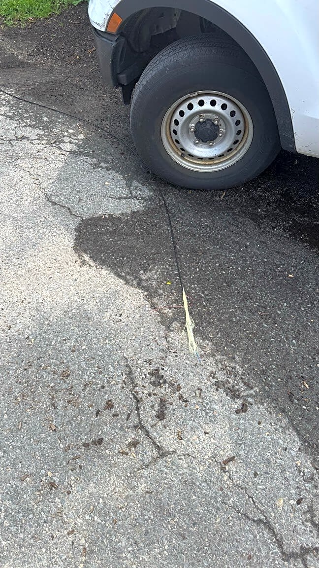 Image submitted with report