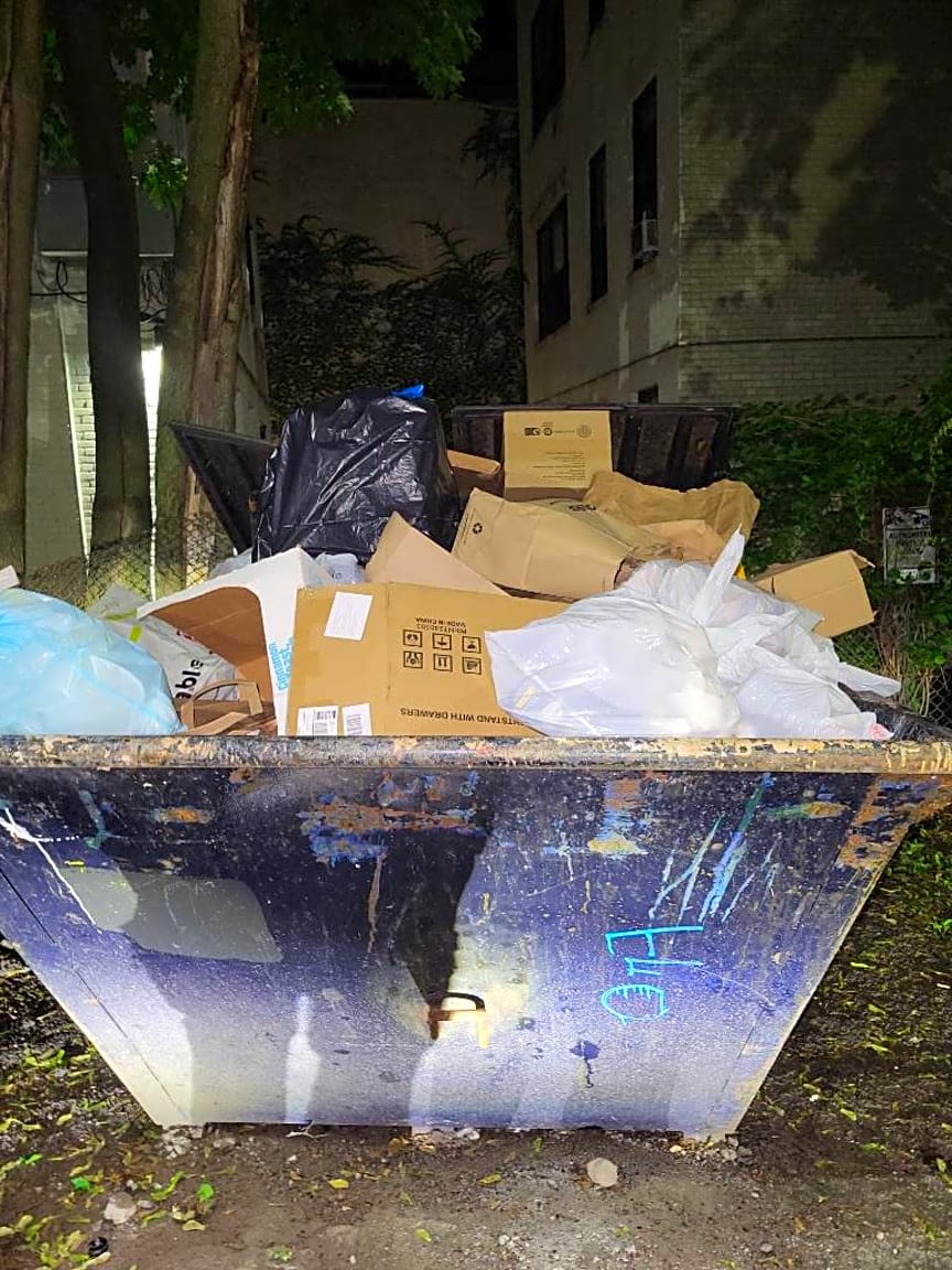 Image submitted with report