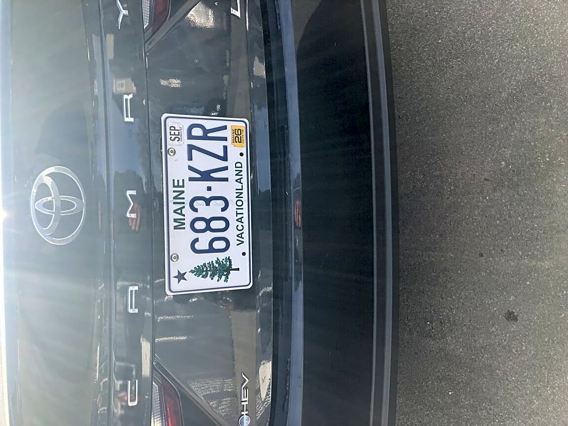 Image submitted with report