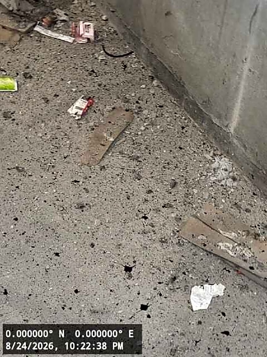 Image submitted with report