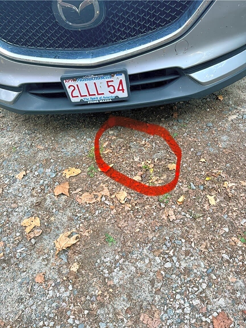 Image submitted with report