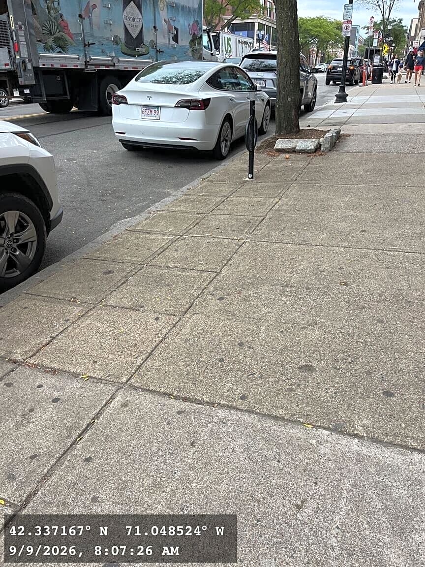 Image submitted with report