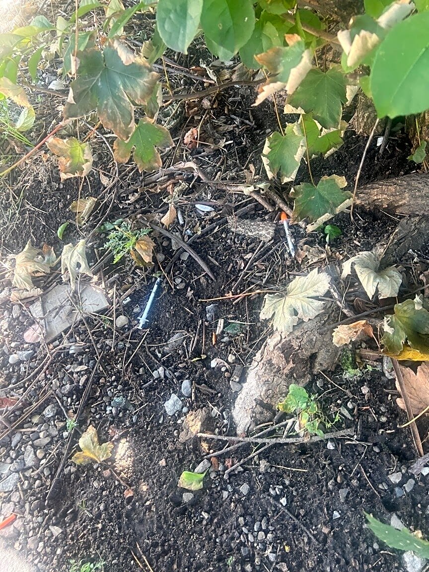 Image submitted with report