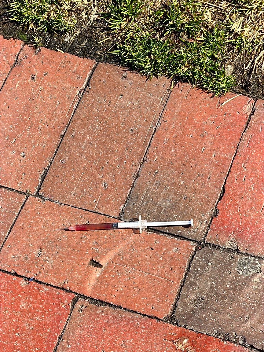 Image submitted with report