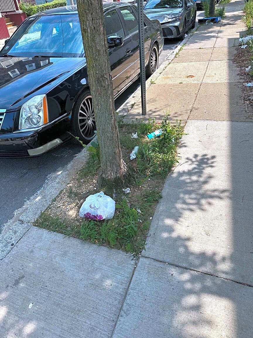Image submitted with report
