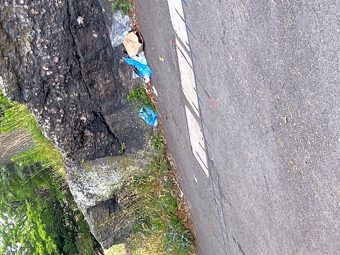 Image submitted with report