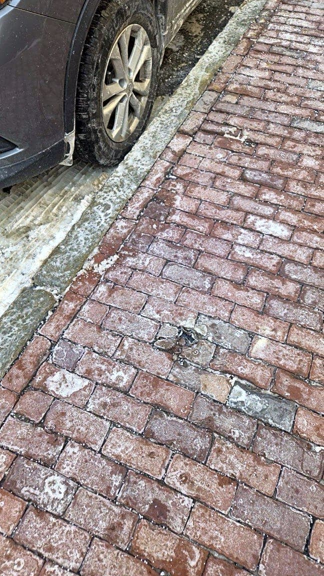 Image submitted with report