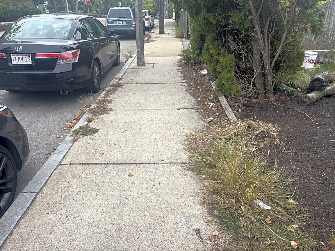 Image submitted with report