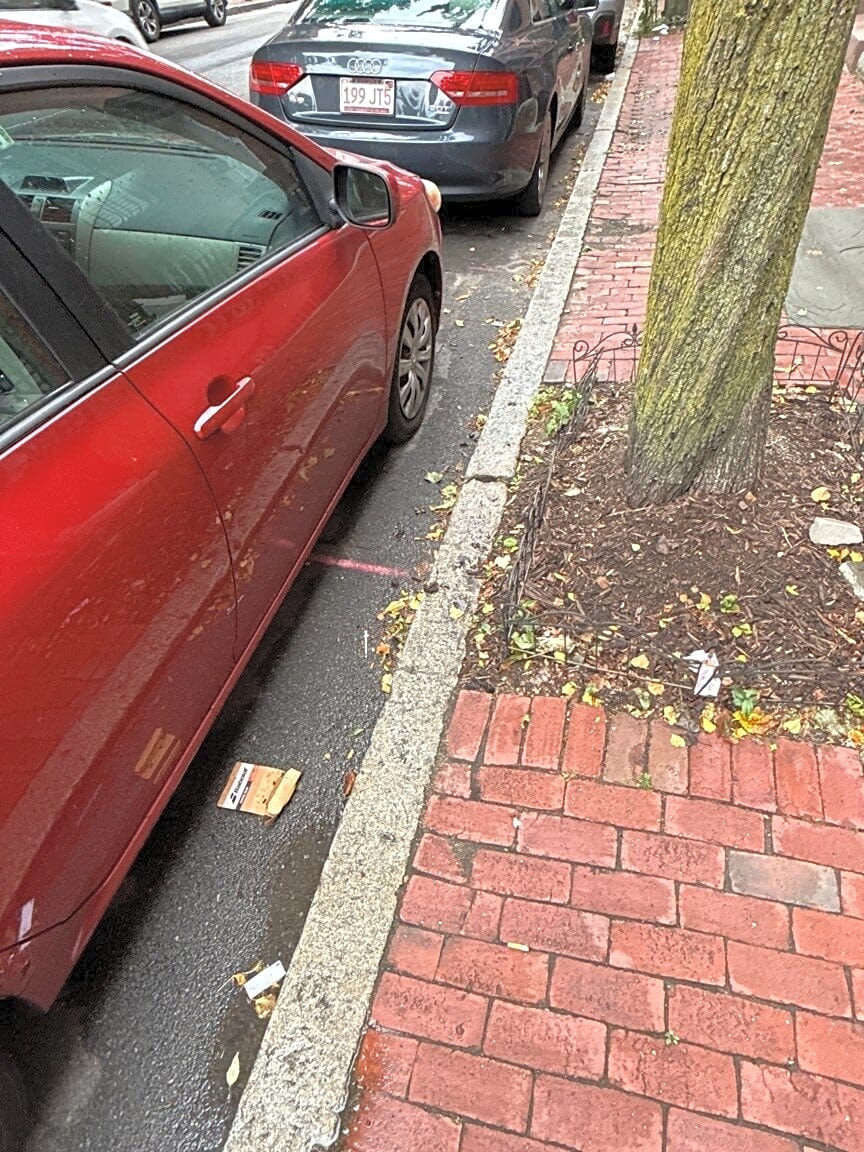 Image submitted with report