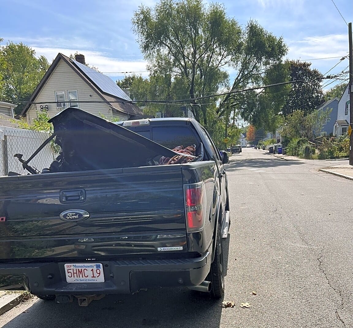 Image submitted with report