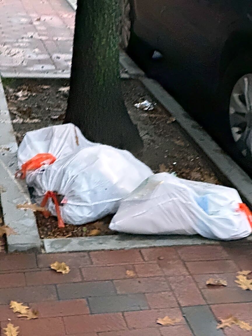 Image submitted with report