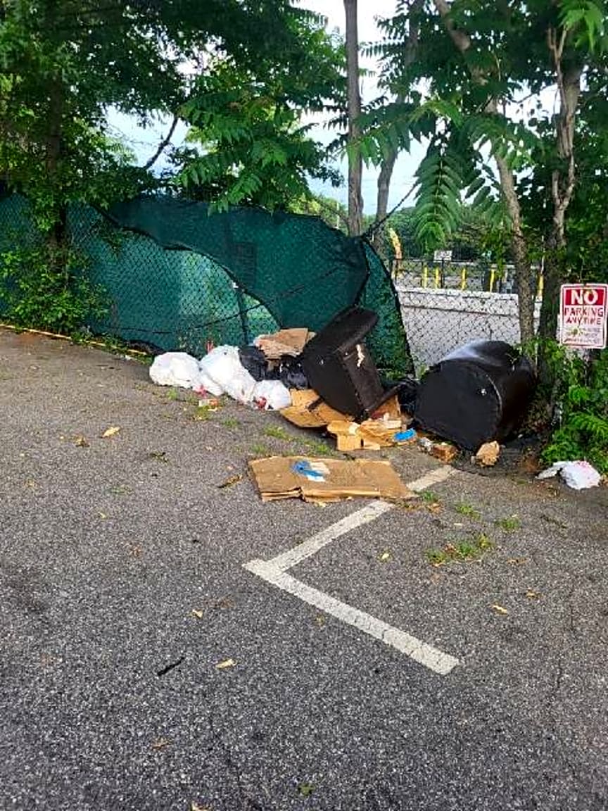 Image submitted with report
