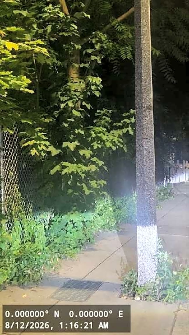 Image submitted with report