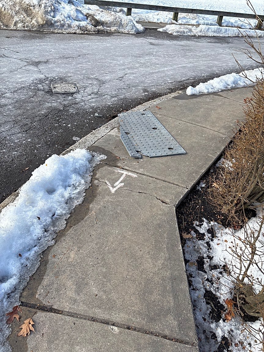 Image submitted with report