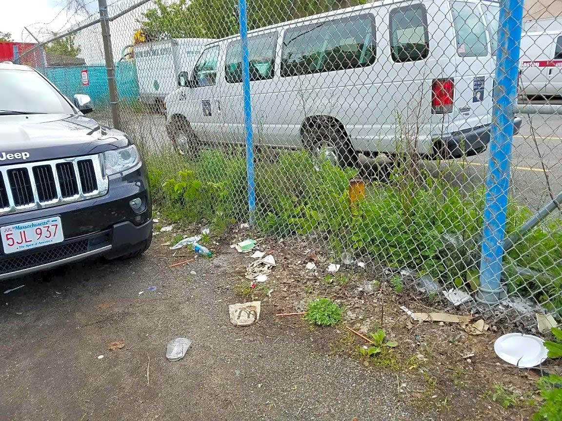 Image submitted with report