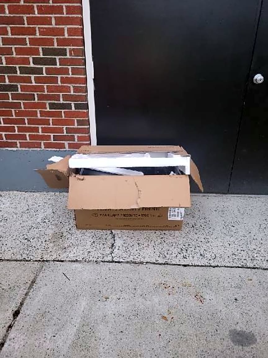 Image submitted with report