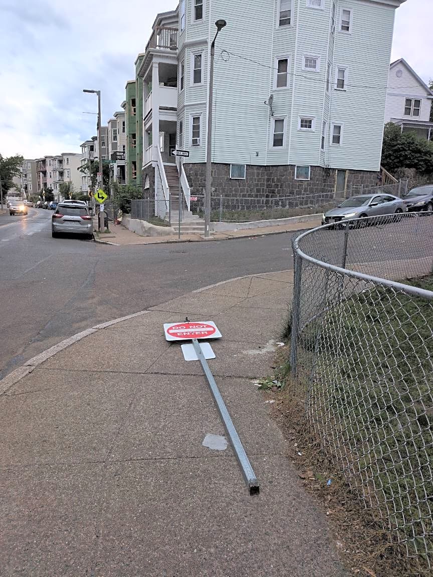 Image submitted with report
