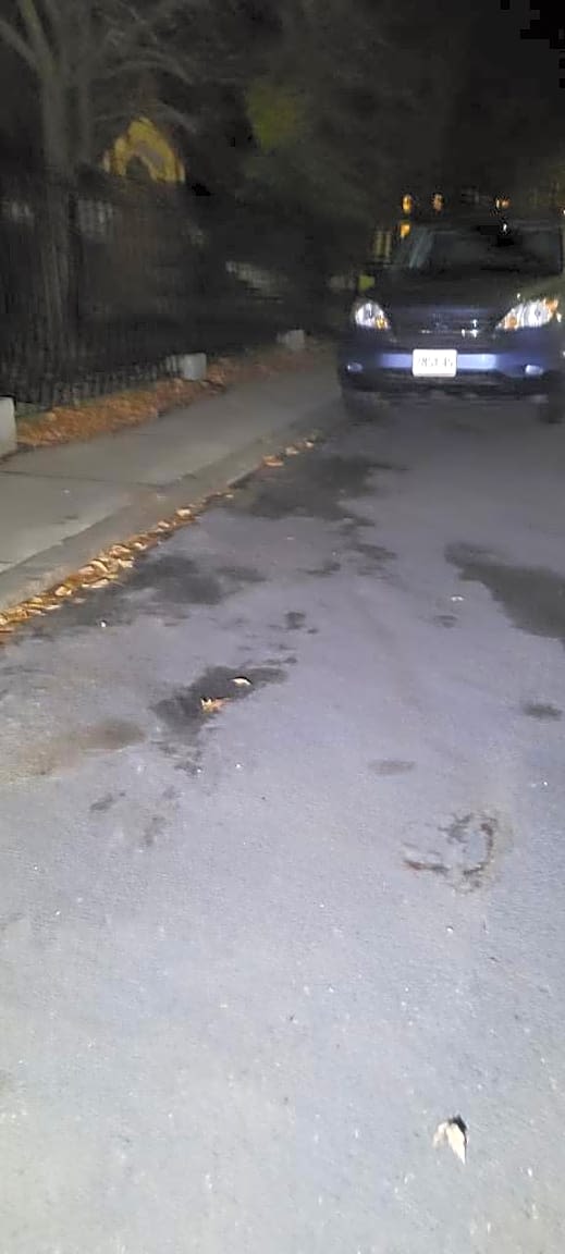 Image submitted with report