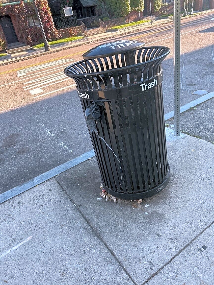 Image submitted with report