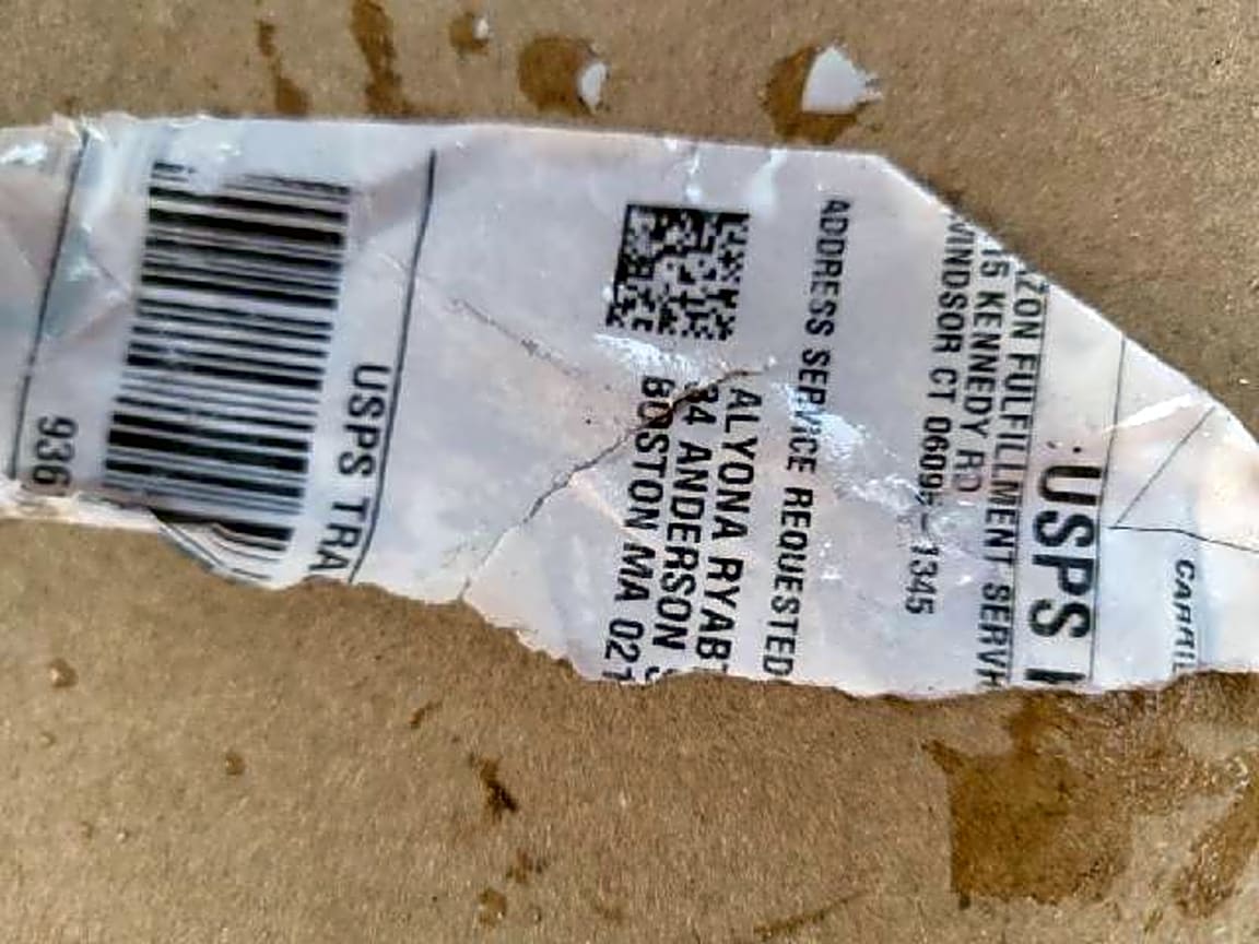 Image submitted with report