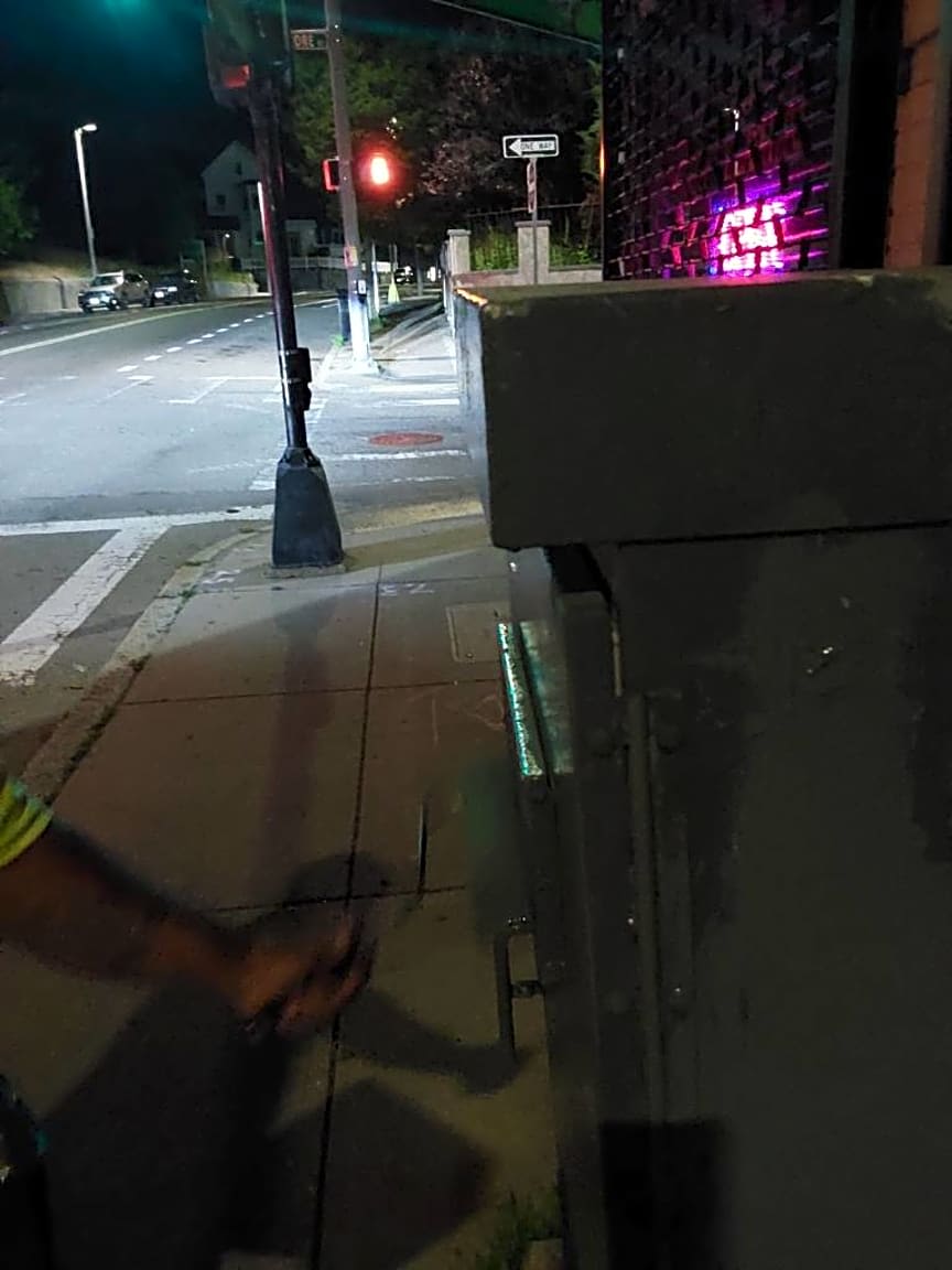 Image submitted with report