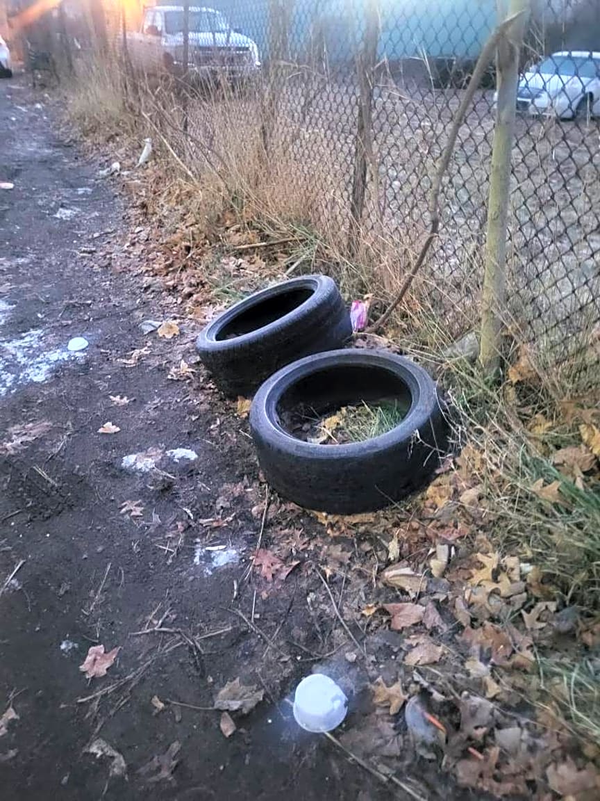 Image submitted with report