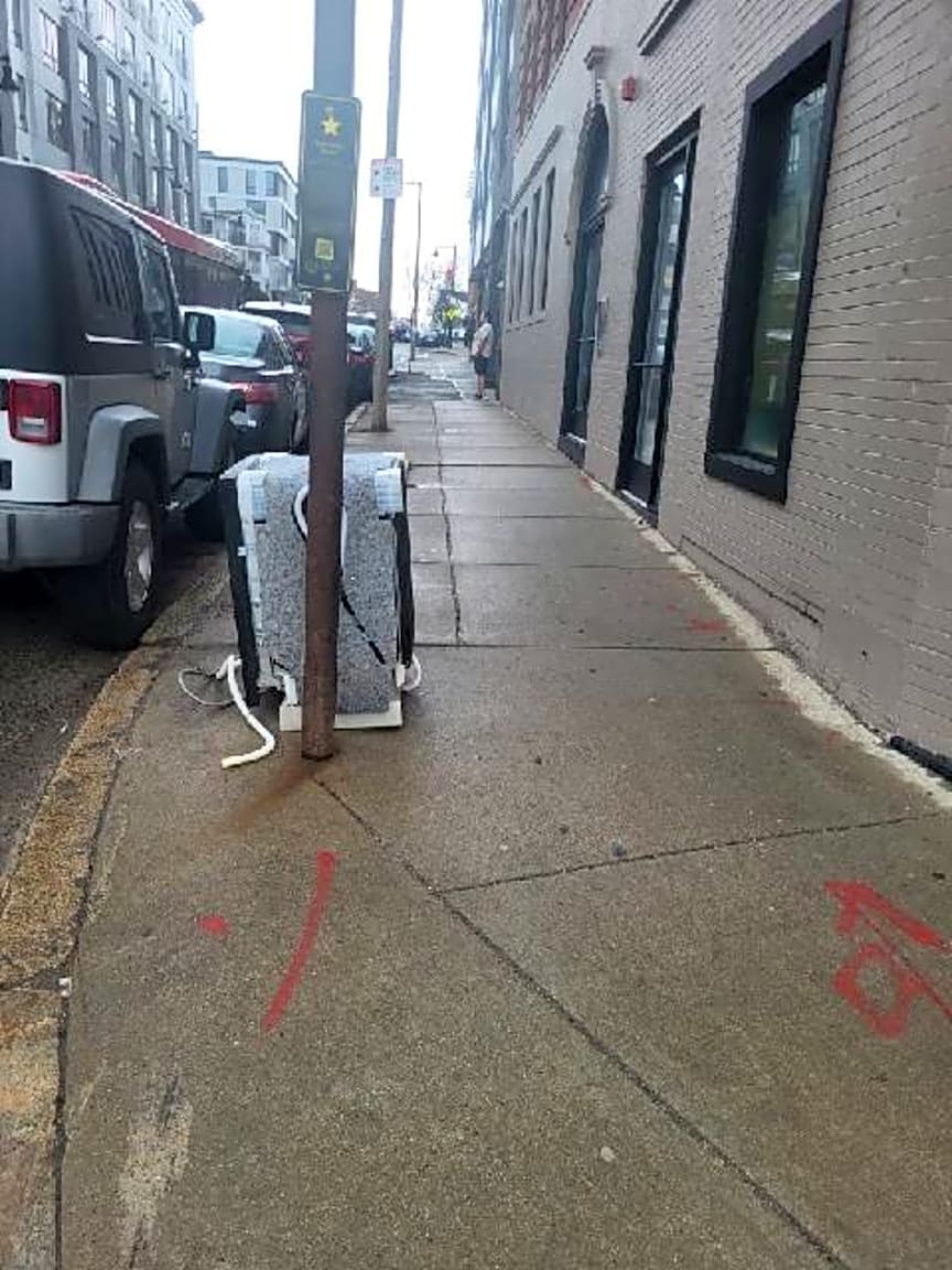 Image submitted with report