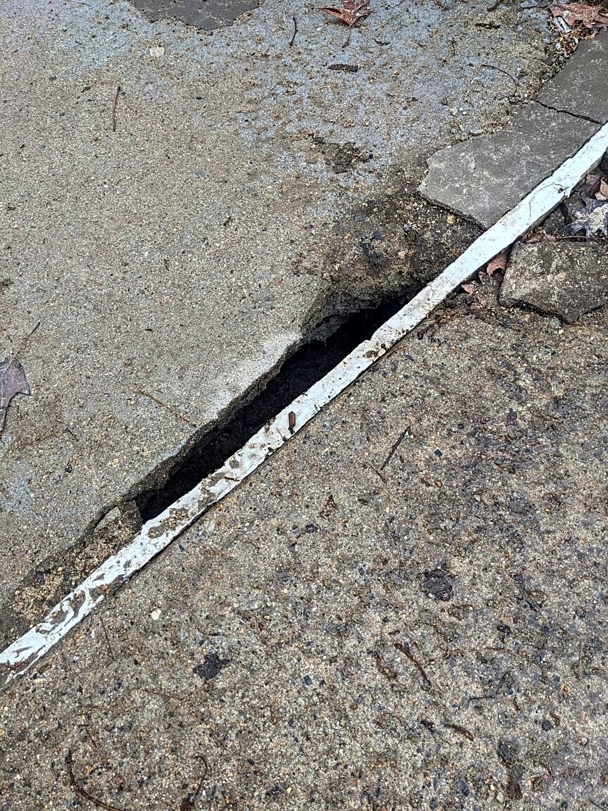 Image submitted with report